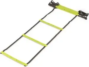 Wall-mounted training ladder SPARTAN 6 m model 6344 — wooden rungs, metal frame