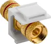Keystone module GOOBAY 79484 Photo 2