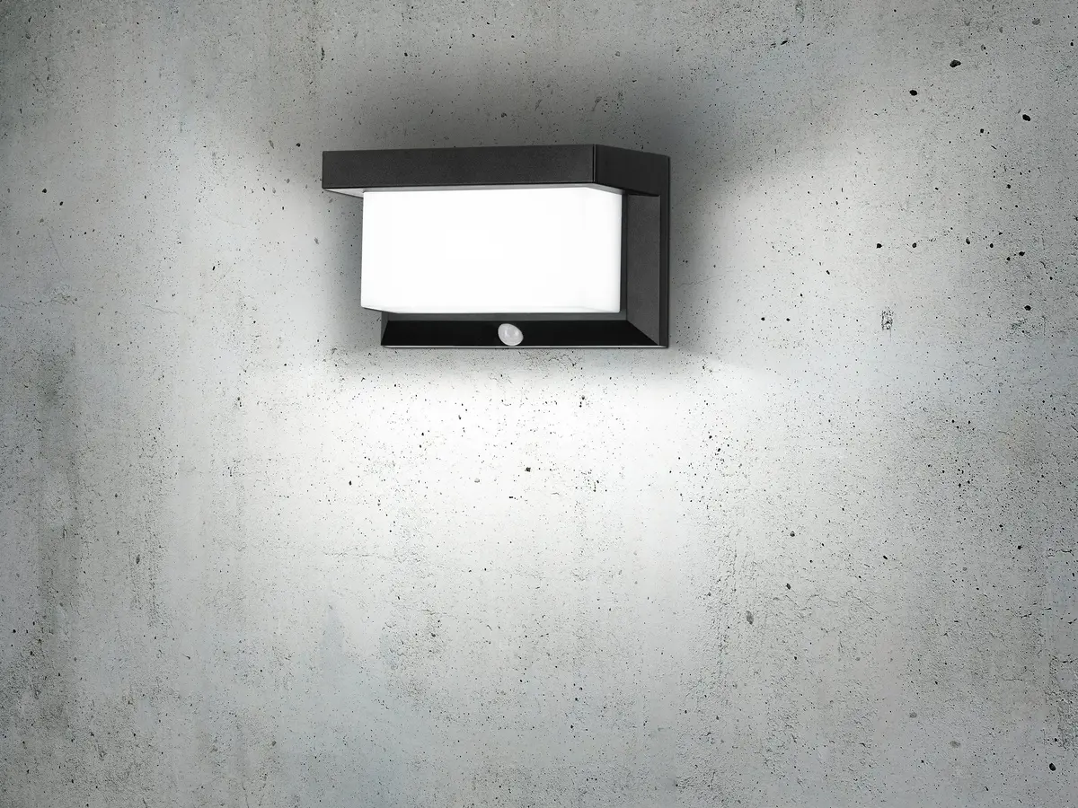 EGLO Utrera LED outdoor rectangular surface light Photo 5