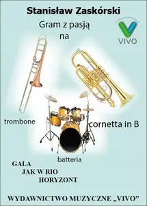 Brass Instrument Mouthpiece No name — Cornet/Trombone/Cornetta in B for Valve/Battery Use