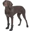 Dog socks Trixie 19410 Photo 6