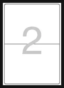 Shipping label ESSELTE 199.6 x 143.5 mm, pack of 100