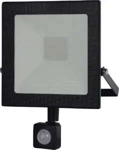 Outdoor LED Floodlight Loyal Lighting ML with 4250 lm, LUMILEDS, IP65, 4000K, motion sensor