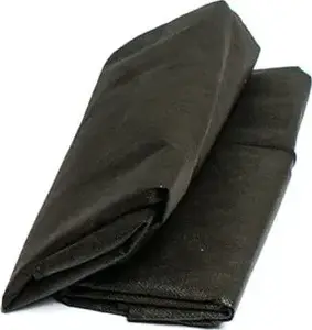 Windshield Frost Protection Cover Amio AMI-01515 (size L) for front glass