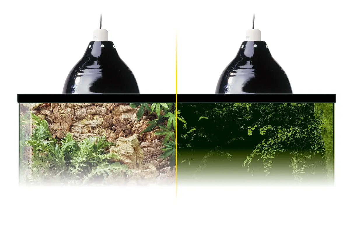 Hagen Exo Terra PT2054 rāpuļu siltuma lampa Photo 5