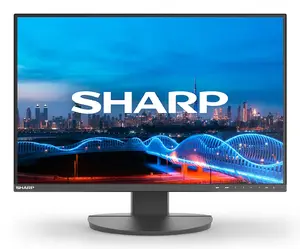 NEC Sharp MultiSync EA241W 24" (61 cm) IPS LCD monitor 1920×1200 16:10, 5 ms, USB 3.2 hub, speakers, VESA, height adjustable
