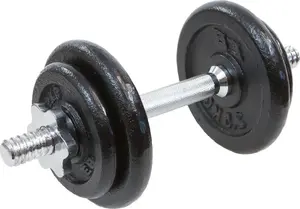 Гантель EB FIT чугунная 10 кг цельнолитая