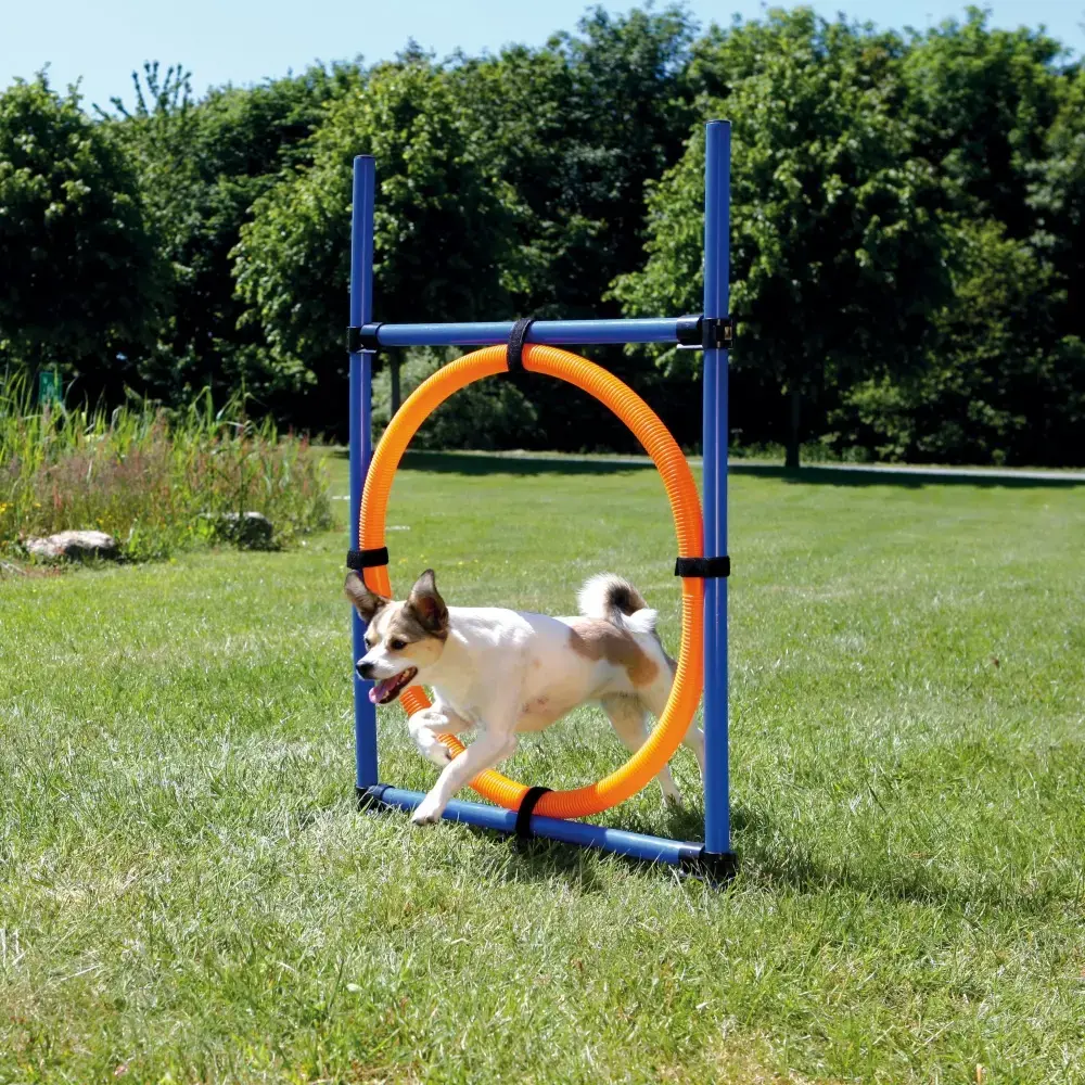 Agility komplekts Trixie TX-3208 Photo 2