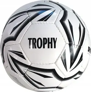 Футбольный мяч SPARTAN Trophy, размер 5 — для детей