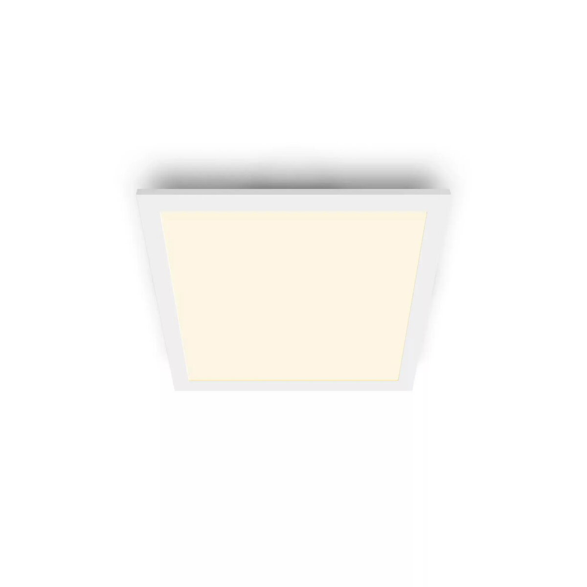 Griestu gaismeklis Philips Functional Panel Ceiling