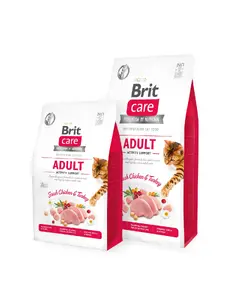 Brit 8595602540822 sausā barība kaķiem 2 kg Pieaudzis suns Cālis, Putnu gaļa, Turcija