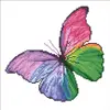Diamond Dotz Flutter by Pink with Frame DDK5.015 Photo 2