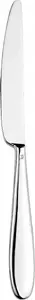 Table knife ETERNUM Anzo mono E-1820-5-12