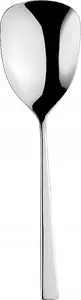 Serving Spoon ETERNUM Atlantis E-3010-12-1 — stainless steel, long handle