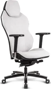 Spēļu krēsls Quersus ICOS.1.1 Champagne Beige — ergonomisks augstas atzveltnes krēsls, regulējams