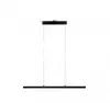 Paulmann Lento suspension lighting 96816 Photo 3