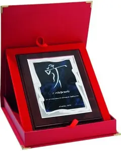 Victoria Sport Award Plaque with Metal Engraving Plate and Case, plastic base (HG84+ETUI)
