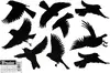 header-product