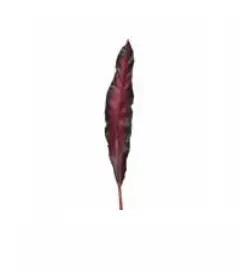 LEONARDO FIORE Indoor Artificial non-flowering plant