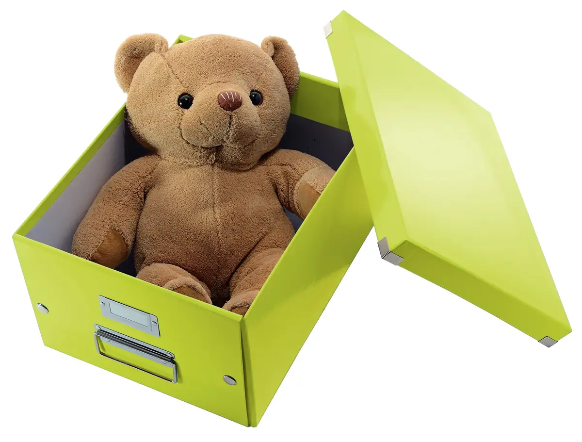 Leitz 60440064 file storage box 60440064 Photo 4