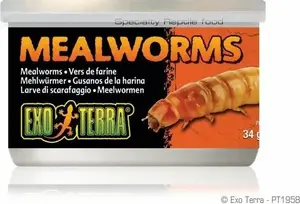 Консервы Hagen EXO TERRA Mealworms 34 г — корм в банке для рептилий