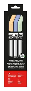 SIGG 6026.70 atkārtoti izmantojamie salmiņi Daudzkrāsains Borsilikāta stikls 3 pcs