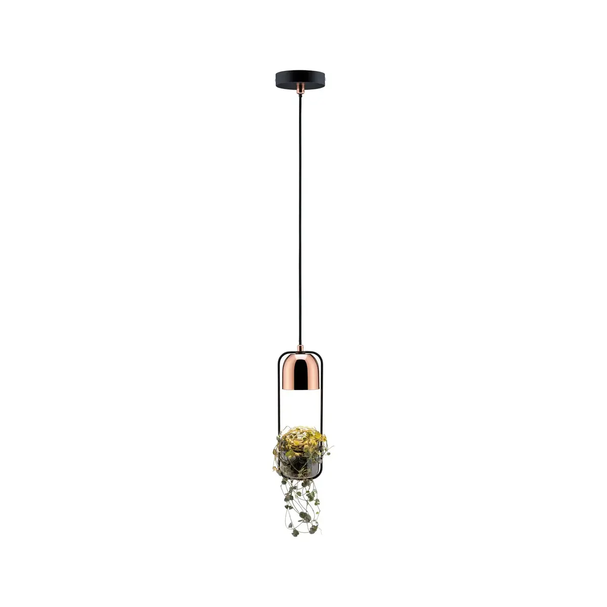 Paulmann 797.49 ceiling lighting 79749 Photo 3