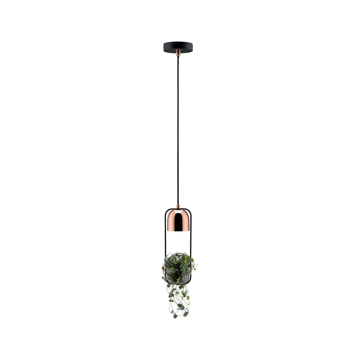 Paulmann 797.49 ceiling lighting 79749 Photo 4
