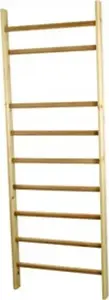 Sienas sporta trepes Master 80 x 240 cm — modelis MAS-C240-80