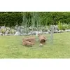 TRIXIE 6250 small animal habitat 6250 Photo 2