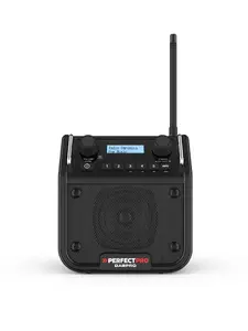 Perfectpro DABPRO Portable Digital Black