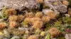 Gamers Grass GG12-DT растительность для моделей Photo 4