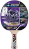 Galda tenisa rakete Donic Legends 800 Photo 4