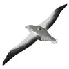Fat Brain Toys Eugy Royal Albatross saliekamais komplekts Photo 3
