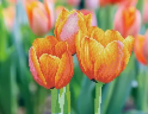 Diamond Dotz Love Tulips — набор для алмазной мозаики Photo 1