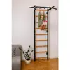 Настенный турник BenchK 721B Photo 6
