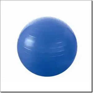 Exercise Ball HMS YB01 55 cm Blue — stability and core training ball