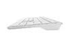 A4Tech Fstyler FX50 wired full-size USB keyboard Photo 2