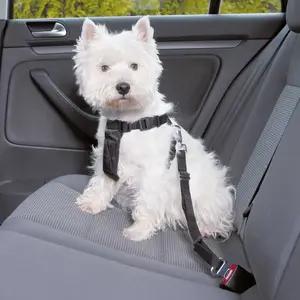 Dog/Cat Harness Trixie 1288 XS Black – padded adjustable pet harness for dogs and cats