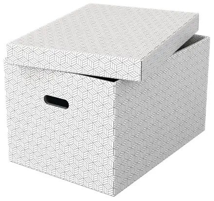 Storage box large ESSELTE, pack of 3 Photo 2