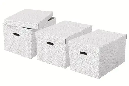 Storage box large ESSELTE, pack of 3 Photo 3