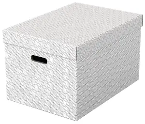 Esselte Home Storage Box Large Pack of 3 White Carton FSC Certified