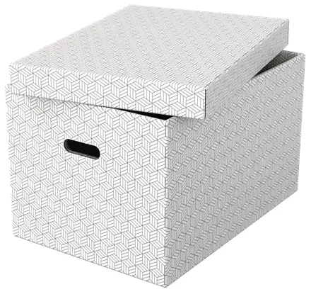 Esselte Home Storage Box Large Pack of 3 Photo 2