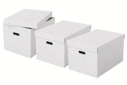 Esselte Home Storage Box Large Pack of 3 Photo 3