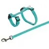 Dog/Cat Lead Trixie 6260 Photo 2