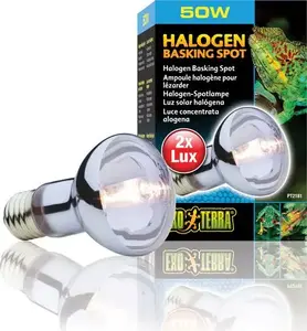 Halogen Spot Bulb Hagen ExoTerra 50W — Reptile Heat/Spot Lamp