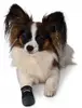 Trixie Walker Care Protective Boots L Photo 3