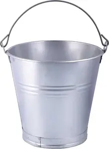 Galvanized Steel Bucket 5 L — No name, model WIA 5 ZNC, capacity 5 liters