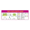 Aquabeads Epoch 31596 Lovely lama bead kit Photo 2