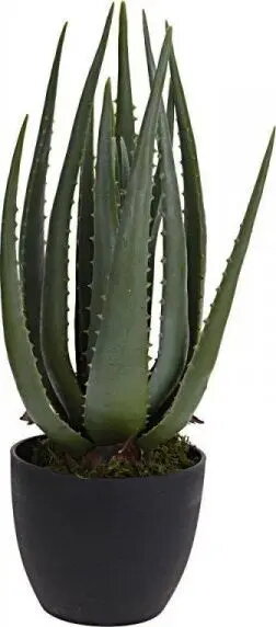 Artificial Plants